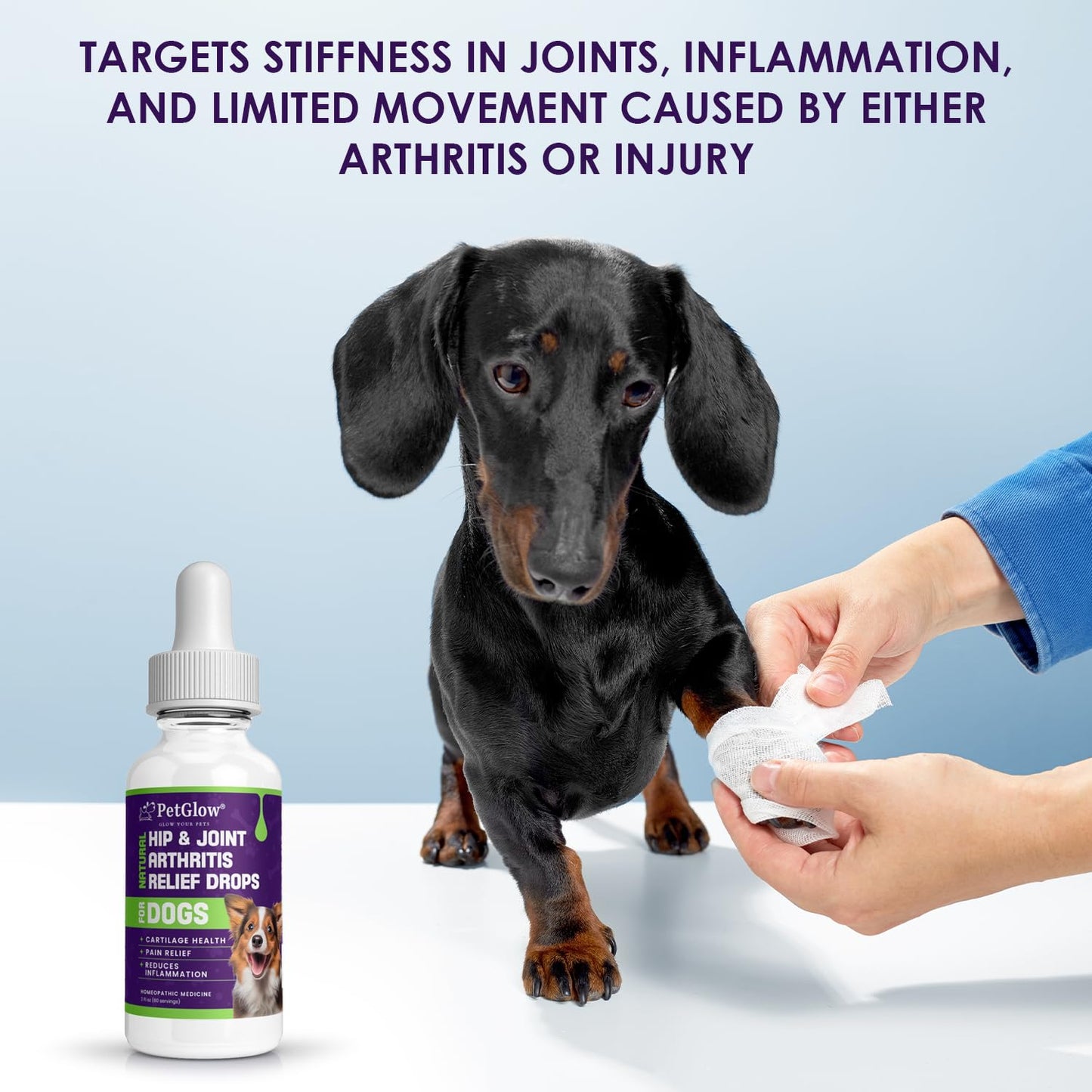 Petglow® Natural Hip & Joint Arthritis Relief Drops with Curcumin & Boswellia, Homeopathic Anti-Inflammatory Formula for Dogs, Cats & Horses, Supports Flexibility, Comfort & Mobility Naturally - dailyvitalstore