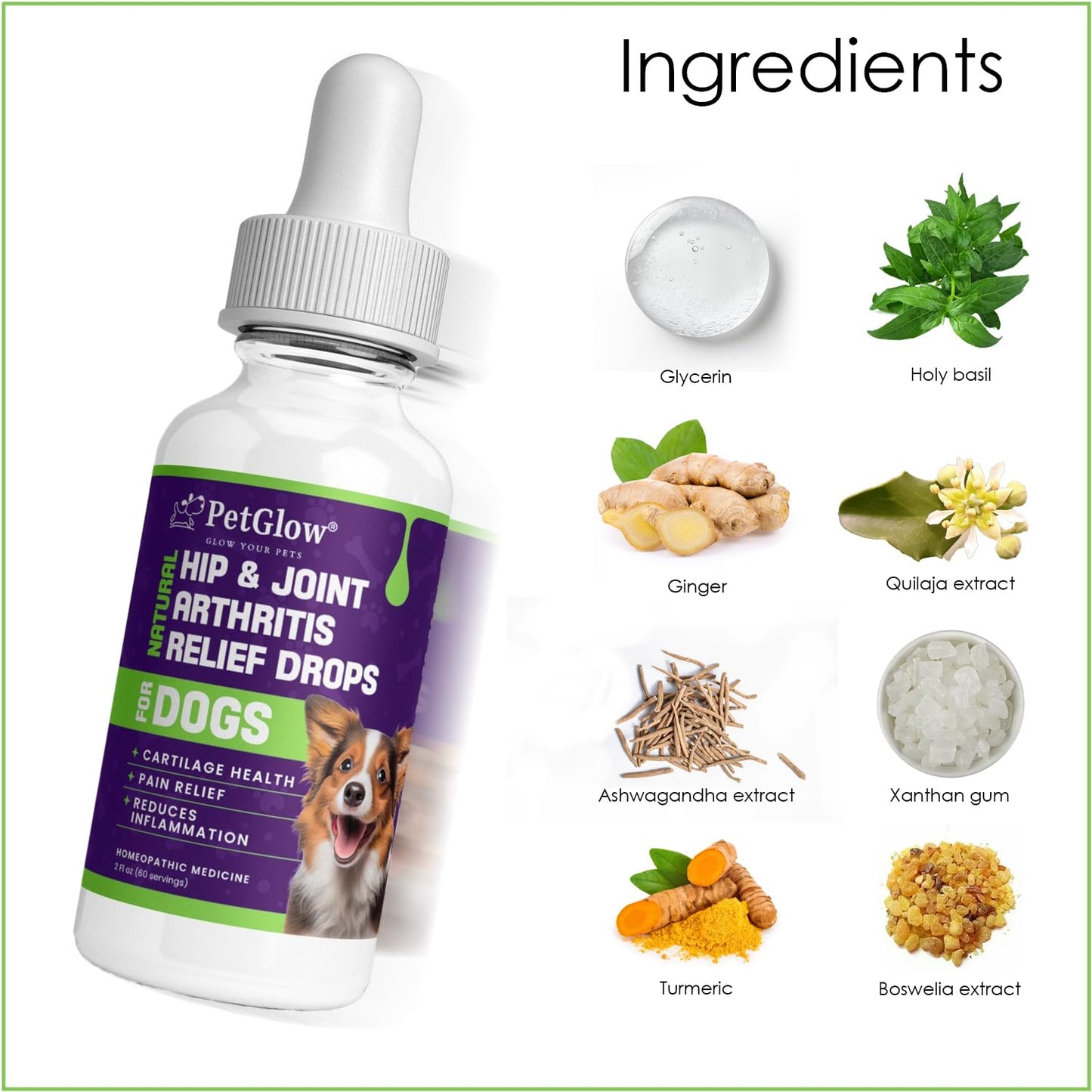 Petglow® Natural Hip & Joint Arthritis Relief Drops with Curcumin & Boswellia, Homeopathic Anti-Inflammatory Formula for Dogs, Cats & Horses, Supports Flexibility, Comfort & Mobility Naturally - dailyvitalstore