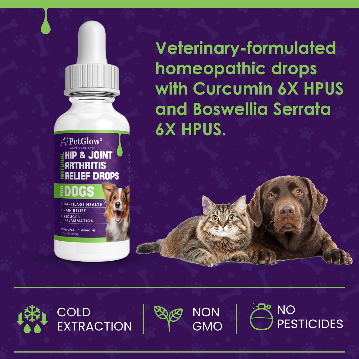 Petglow® Natural Hip & Joint Arthritis Relief Drops with Curcumin & Boswellia, Homeopathic Anti-Inflammatory Formula for Dogs, Cats & Horses, Supports Flexibility, Comfort & Mobility Naturally - dailyvitalstore
