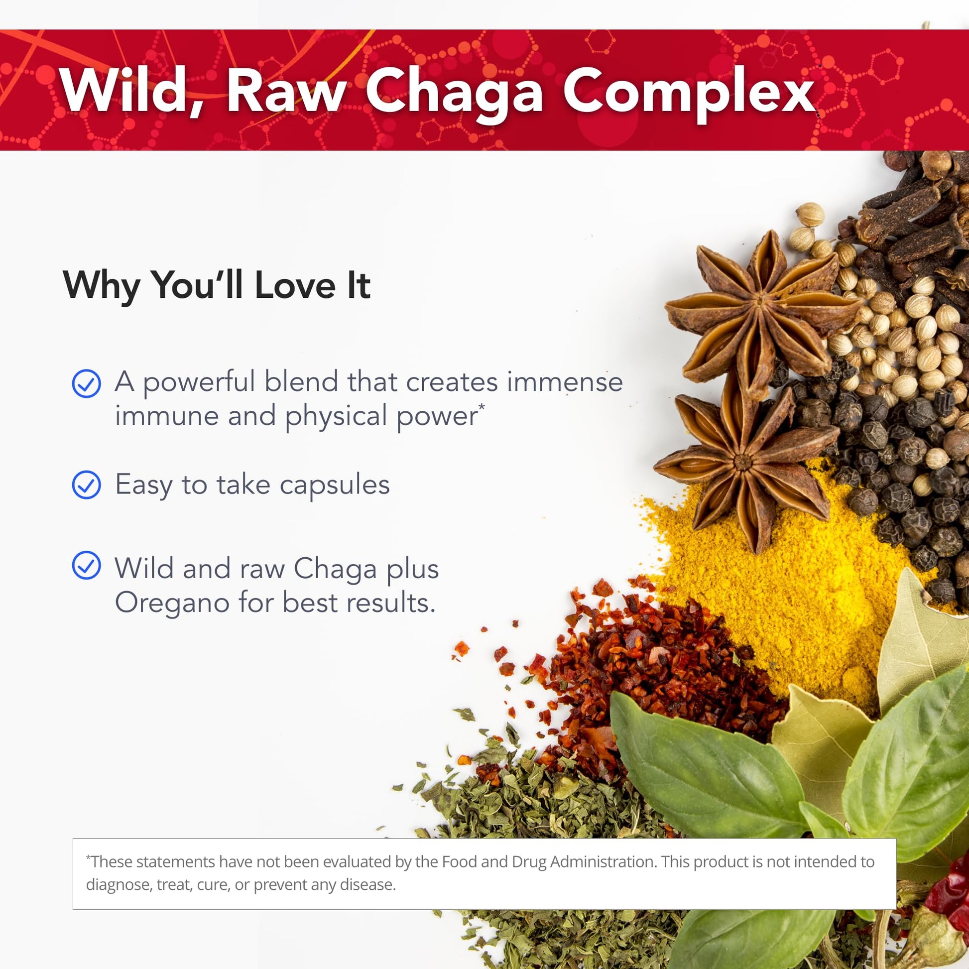 Physician's Strength ChagaStrength - 90 Capsules - Wild, Raw Chaga Complex - Immune & Physical Support - Non-GMO - 90 Servings - dailyvitalstore