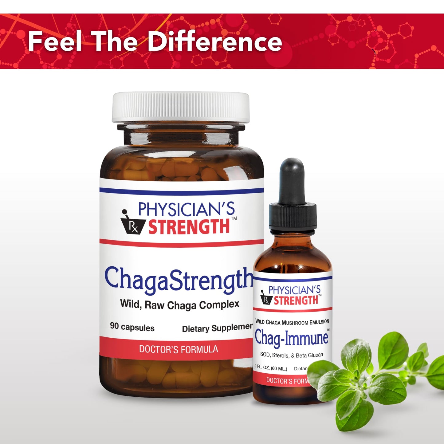 Physician's Strength ChagaStrength - 90 Capsules - Wild, Raw Chaga Complex - Immune & Physical Support - Non-GMO - 90 Servings - dailyvitalstore