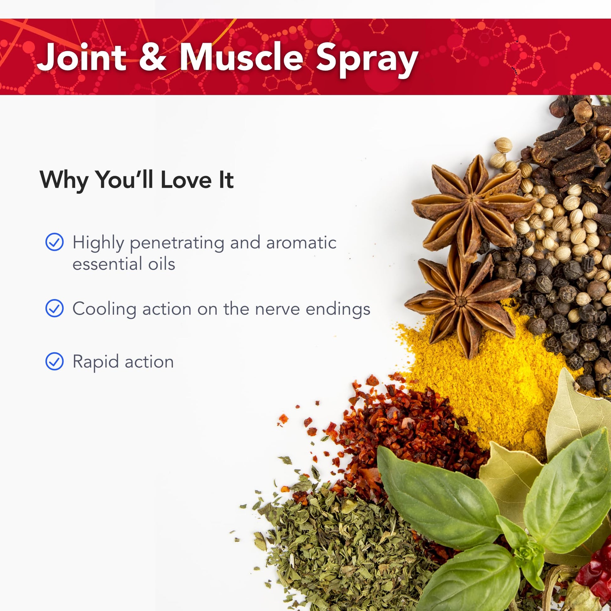 Physician's Strength PainMist - 1 fl oz - Healthy Inflammation Support - Non-GMO - dailyvitalstore