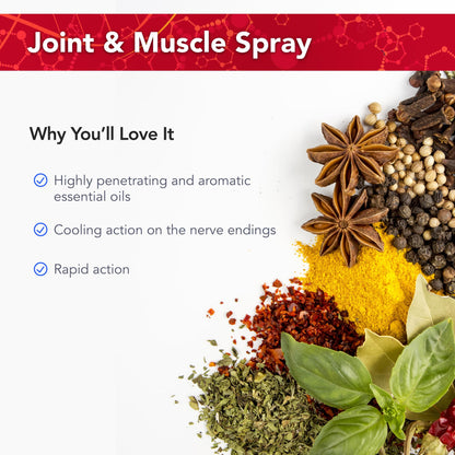 Physician's Strength PainMist - 1 fl oz - Healthy Inflammation Support - Non-GMO - dailyvitalstore