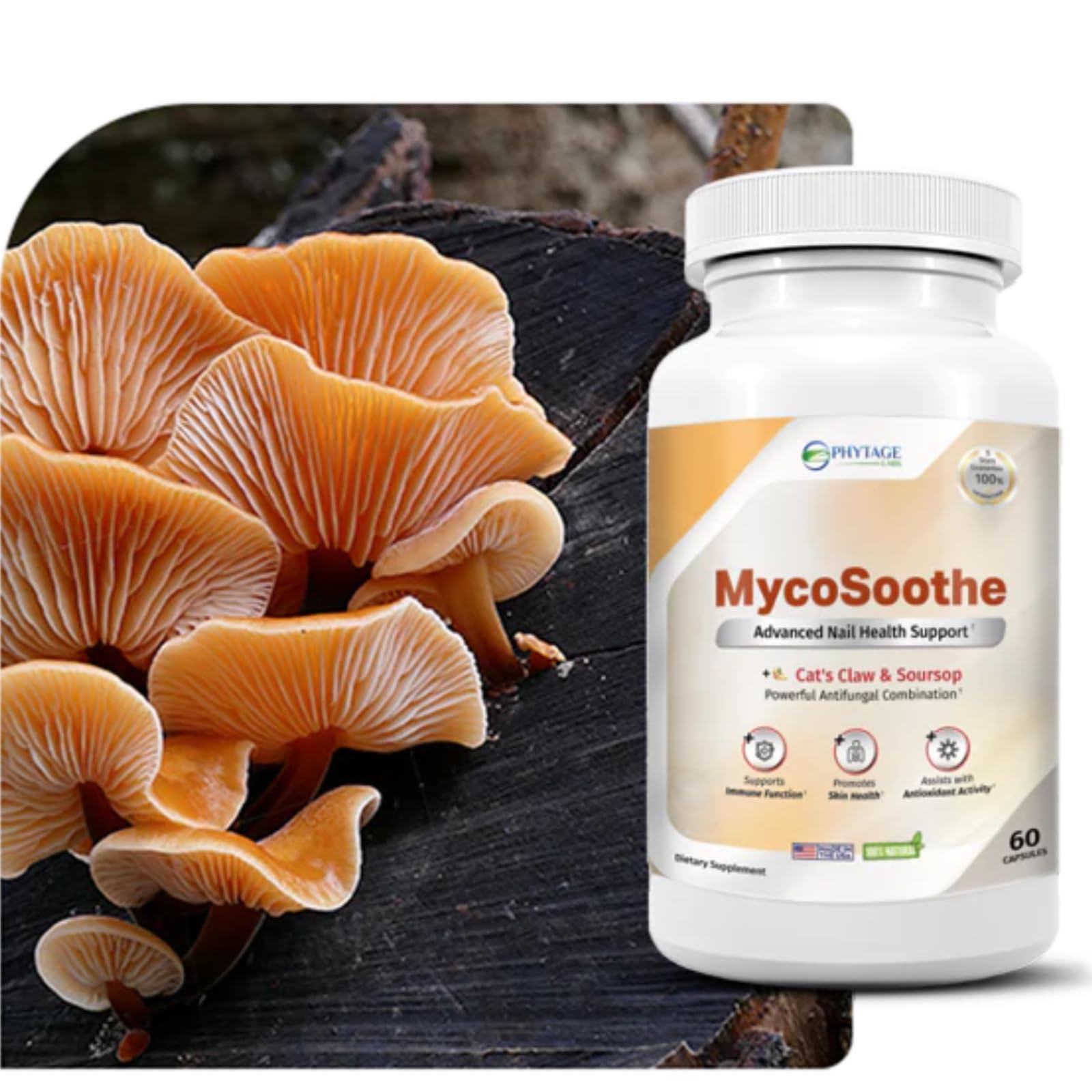 Phytage Labs MycoSoothe Advanced Hair, Skin, Nail & Immunity Support Formula - 60 Capsules - dailyvitalstore