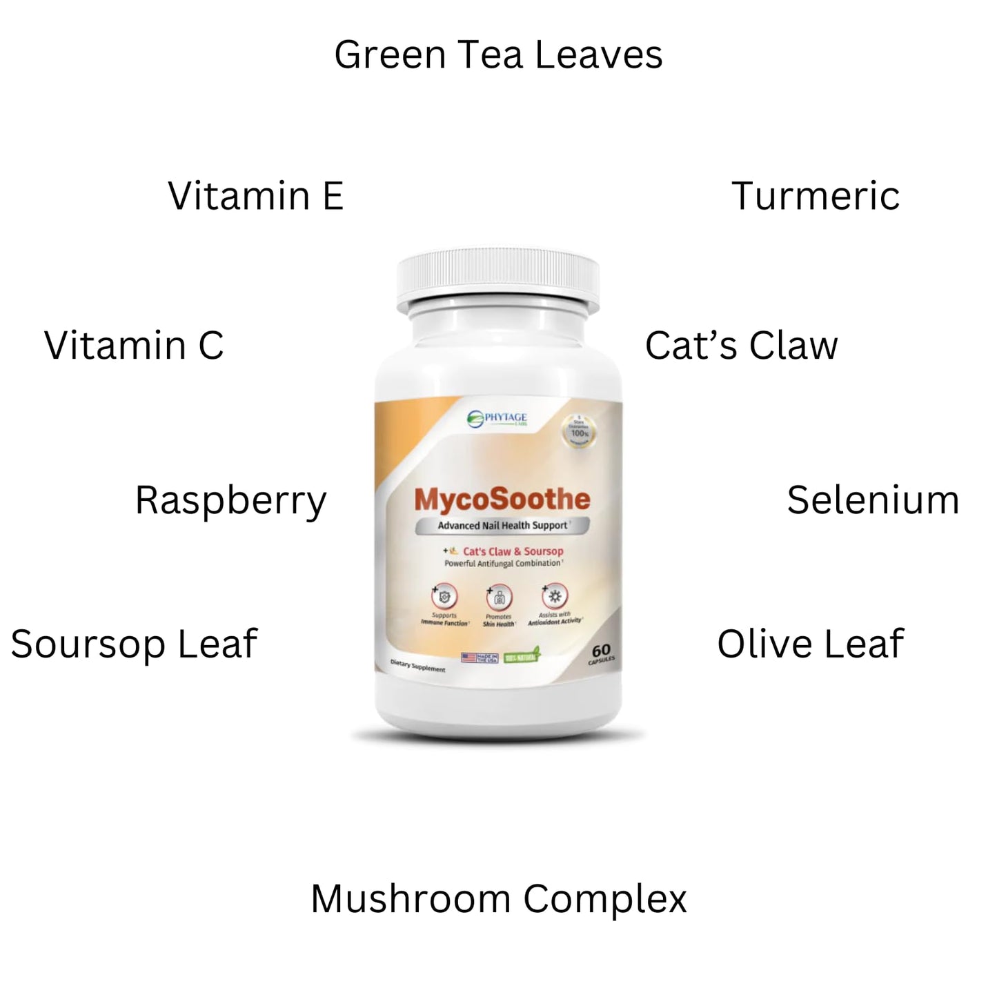 Phytage Labs MycoSoothe Advanced Hair, Skin, Nail & Immunity Support Formula - 60 Capsules - dailyvitalstore