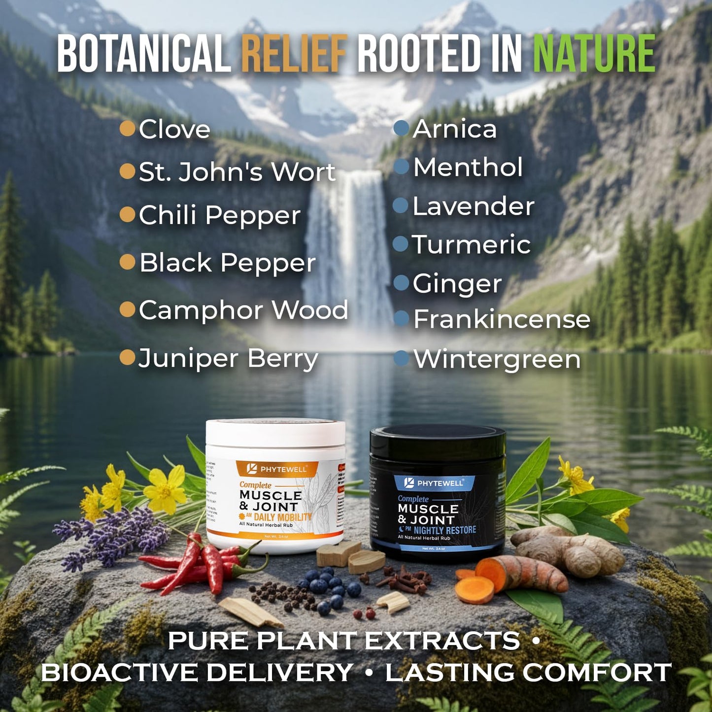 PHYTEWELL Muscle & Joint Rub Balm - Day & Night Pain Relief for Back, Knee, & Shoulder - Crafted with Arnica, Clove & Black Pepper to Support Recovery & Relaxation – Premium Non-Greasy Texture - dailyvitalstore