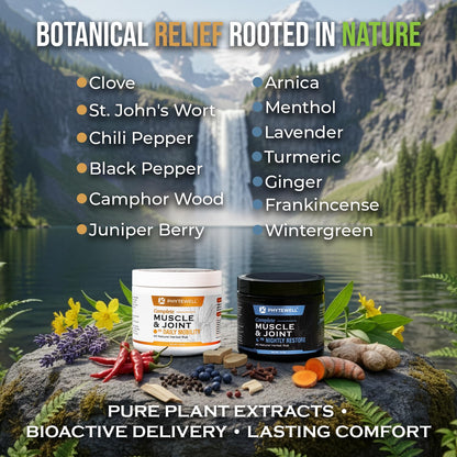 PHYTEWELL Muscle & Joint Rub Balm - Day & Night Pain Relief for Back, Knee, & Shoulder - Crafted with Arnica, Clove & Black Pepper to Support Recovery & Relaxation – Premium Non-Greasy Texture - dailyvitalstore