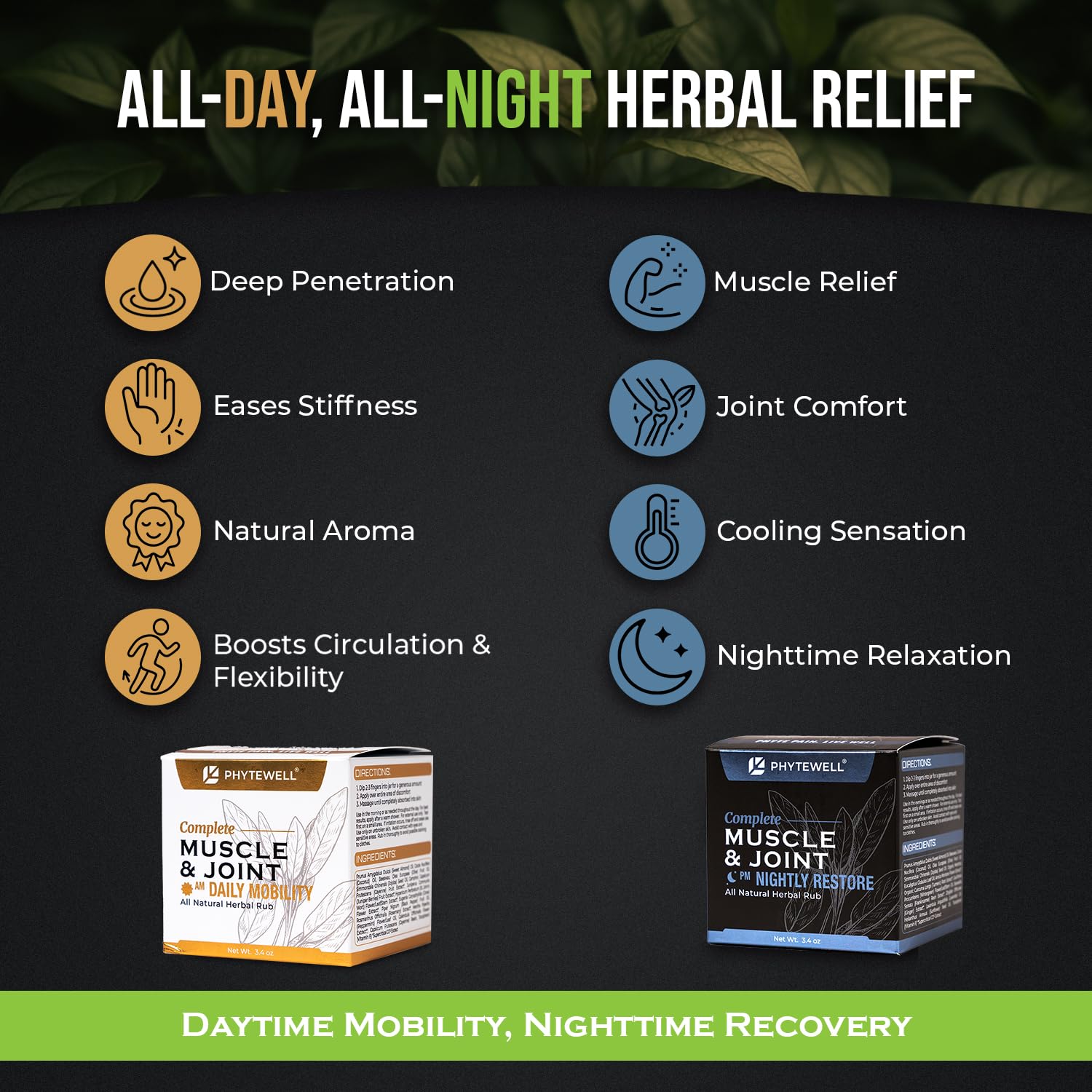 PHYTEWELL Muscle & Joint Rub Balm - Day & Night Pain Relief for Back, Knee, & Shoulder - Crafted with Arnica, Clove & Black Pepper to Support Recovery & Relaxation – Premium Non-Greasy Texture - dailyvitalstore