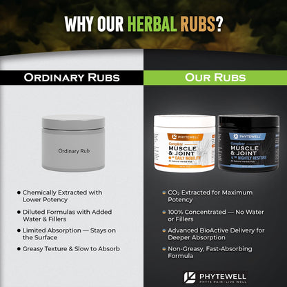 PHYTEWELL Muscle & Joint Rub Balm - Day & Night Pain Relief for Back, Knee, & Shoulder - Crafted with Arnica, Clove & Black Pepper to Support Recovery & Relaxation – Premium Non-Greasy Texture - dailyvitalstore