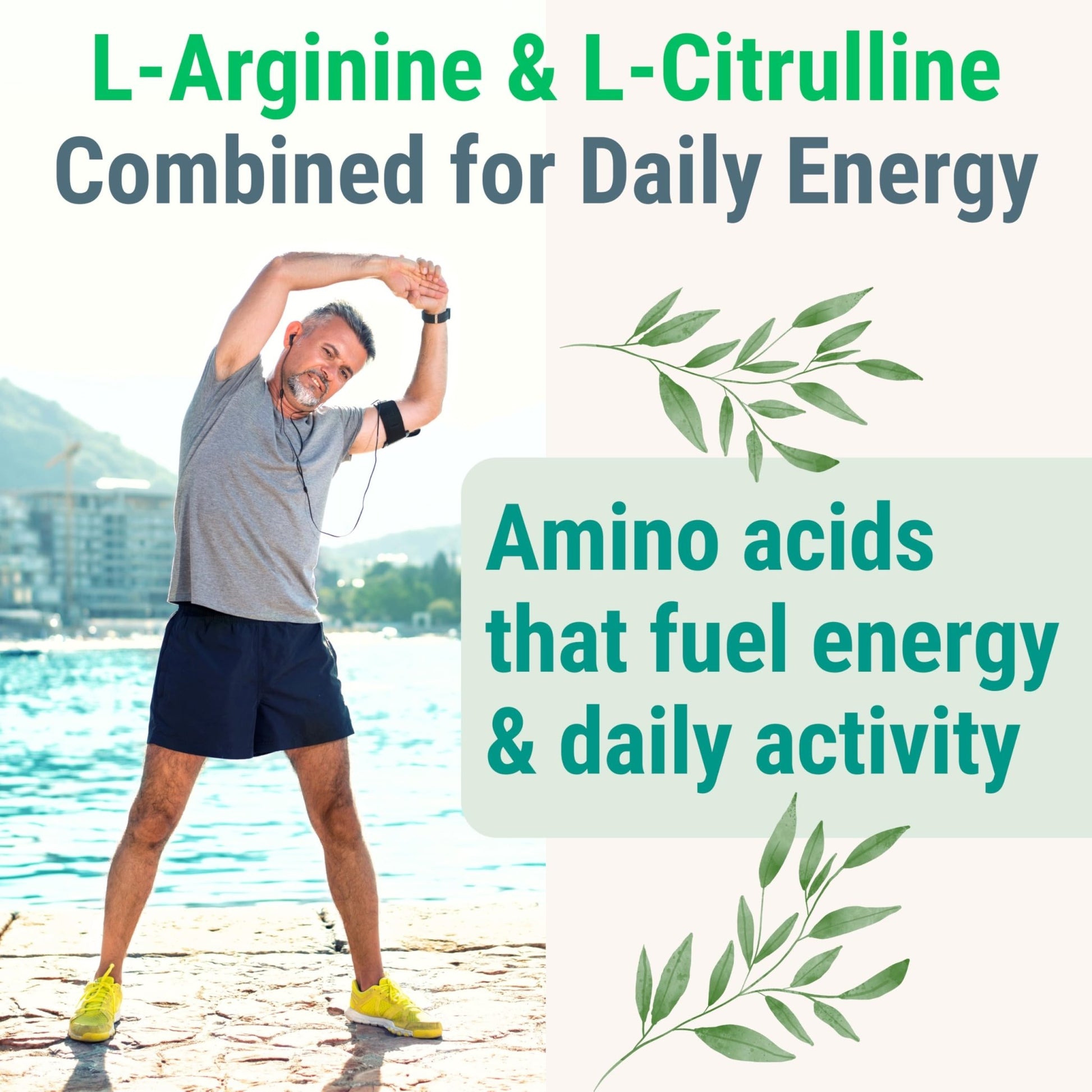 Pine Bark Extract L-Arginine L-Citrulline Beetroot Probiotic Fiber Methylated B Complex Zinc Gummies for Women Men Adults Kids w. Chicory Root Inulin 5-MTHF B6 P5P Powder Capsule Pill Supplement Alt - dailyvitalstore