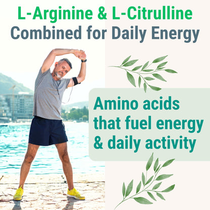 Pine Bark Extract L-Arginine L-Citrulline Beetroot Probiotic Fiber Methylated B Complex Zinc Gummies for Women Men Adults Kids w. Chicory Root Inulin 5-MTHF B6 P5P Powder Capsule Pill Supplement Alt - dailyvitalstore