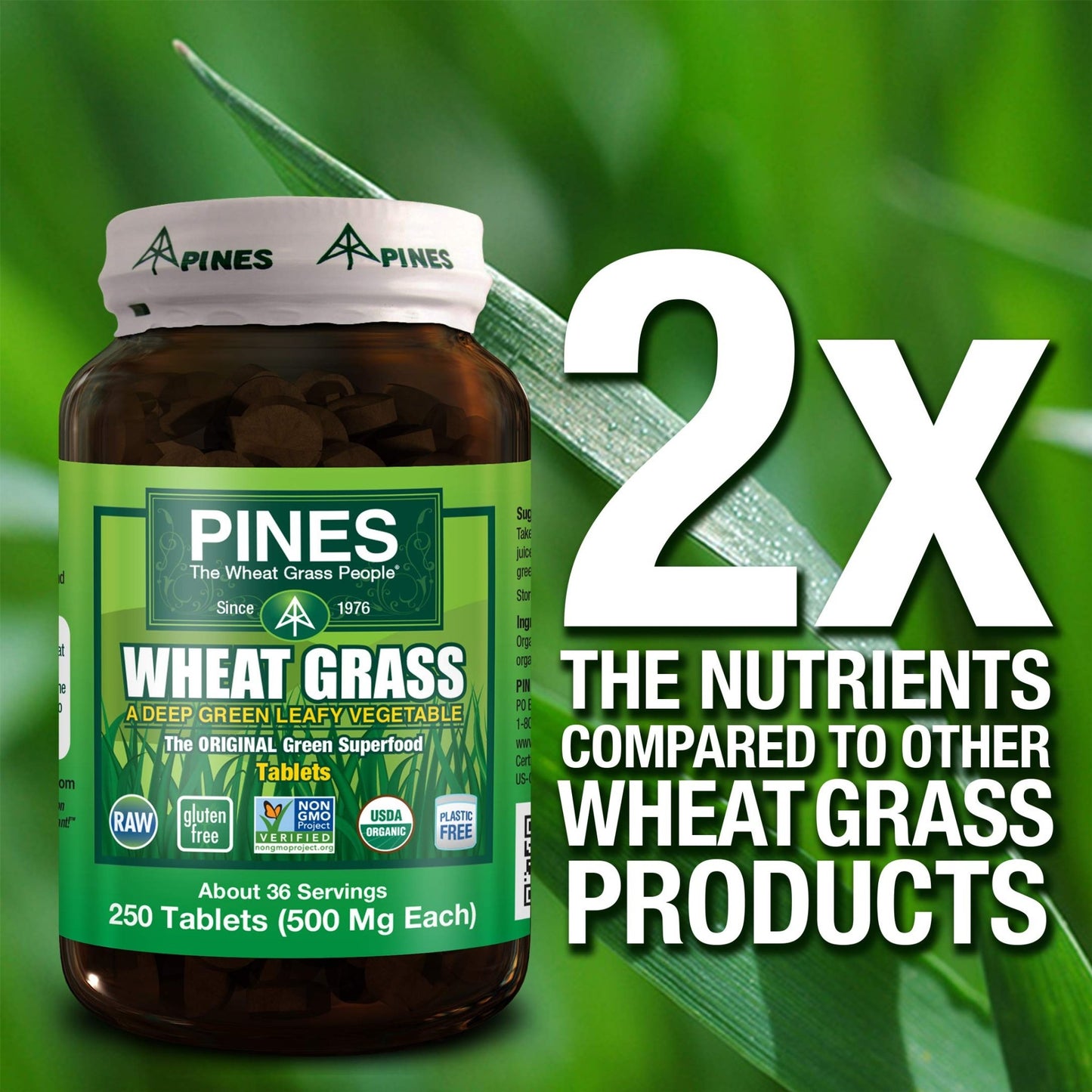 PINES Organic Wheat Grass, 250 Count Tablets | PINES Wheat Grass as featured in the new blockbuster film, Ocean's 8! - dailyvitalstore