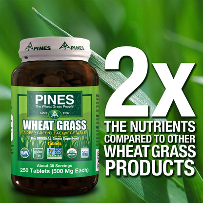 PINES Organic Wheat Grass, 250 Count Tablets | PINES Wheat Grass as featured in the new blockbuster film, Ocean's 8! - dailyvitalstore