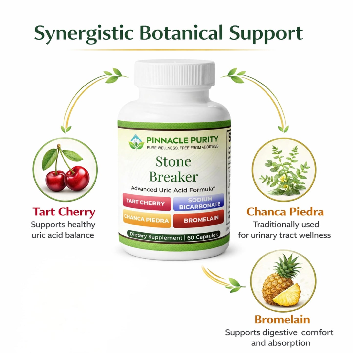 Pinnacle Purity Stone Breaker 60 Capsules, With Chanca Piedra, Tart Cherry & Bromelain – Supports Kidney & Liver Balance, Promotes Gentle Stone Management, Enhances Natural Cleansing Pathways, Non-GMO - dailyvitalstore