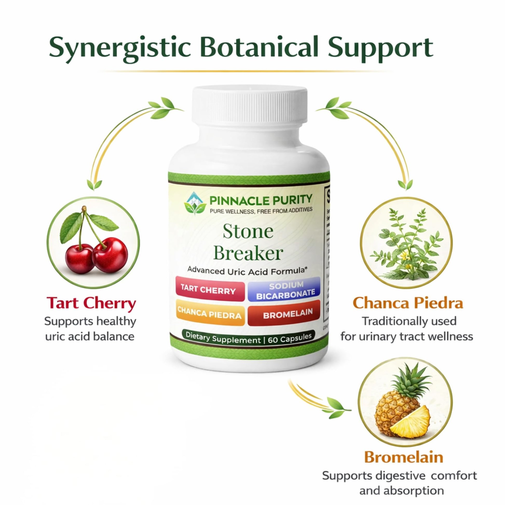 Pinnacle Purity Stone Breaker 60 Capsules, With Chanca Piedra, Tart Cherry & Bromelain – Supports Kidney & Liver Balance, Promotes Gentle Stone Management, Enhances Natural Cleansing Pathways, Non-GMO - dailyvitalstore