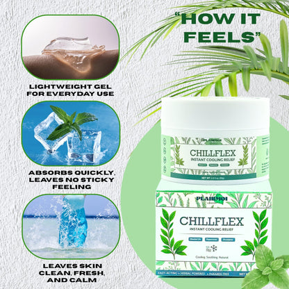 PLAIRMOI CHILLFLEX Pain Relief Gel for Muscle Aches, Joint Pain, Discomfort & Inflammation – Fast Acting, Cooling, Non-Greasy with 3% Menthol & Eucalyptus – 3.5 oz, 1-Pack - dailyvitalstore