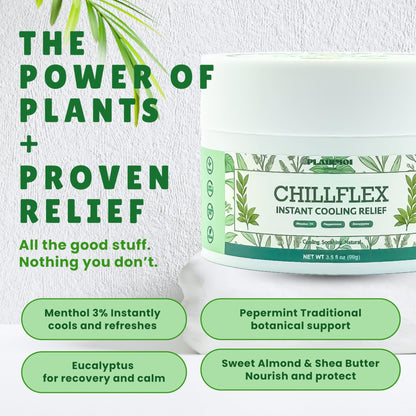 PLAIRMOI CHILLFLEX Pain Relief Gel for Muscle Aches, Joint Pain, Discomfort & Inflammation – Fast Acting, Cooling, Non-Greasy with 3% Menthol & Eucalyptus – 3.5 oz, 1-Pack - dailyvitalstore