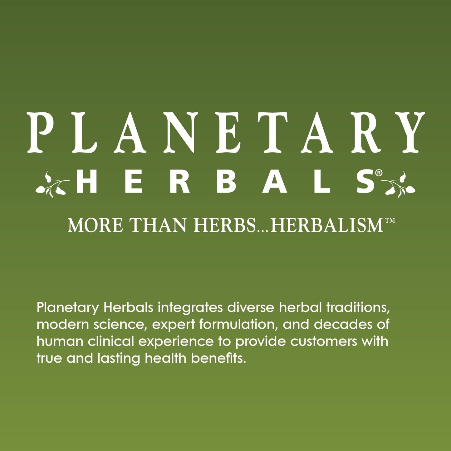 Planetary Herbals Willow Aid Tablets, 60 Count - dailyvitalstore