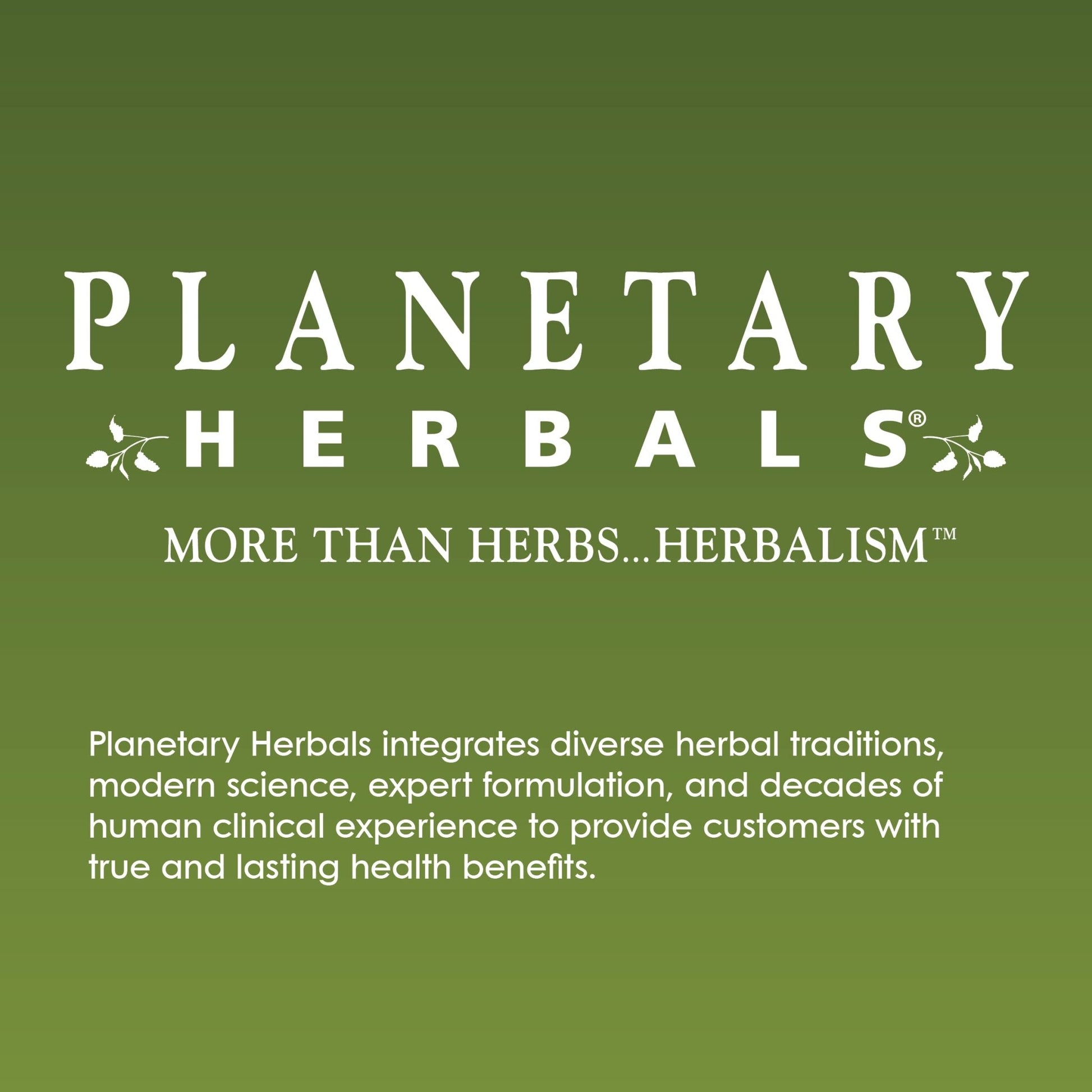 Planetary Herbals Willow Aid Tablets, 60 Count - dailyvitalstore