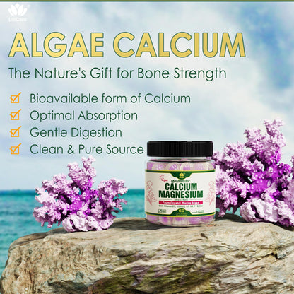 Plant Based Calcium Gummies 600mg with Vitamin D3 K2, Magnesium, Zinc for Bone Strength, Sugar Free Calcium Supplements for Women & Men (Certified Vegan) - dailyvitalstore