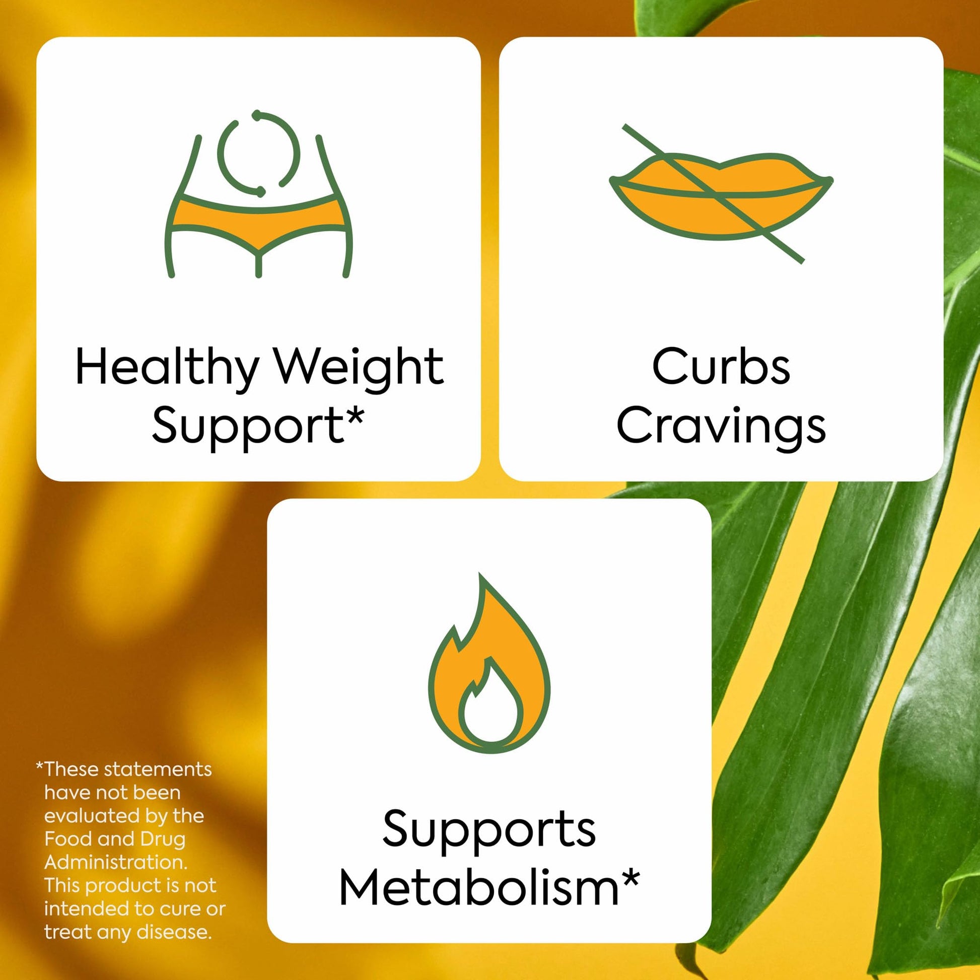 Plant People WonderBurn Metabolism & Cravings Control Gummies, Zero Sugar, Ripe Mango Flavor (60 Count) - dailyvitalstore