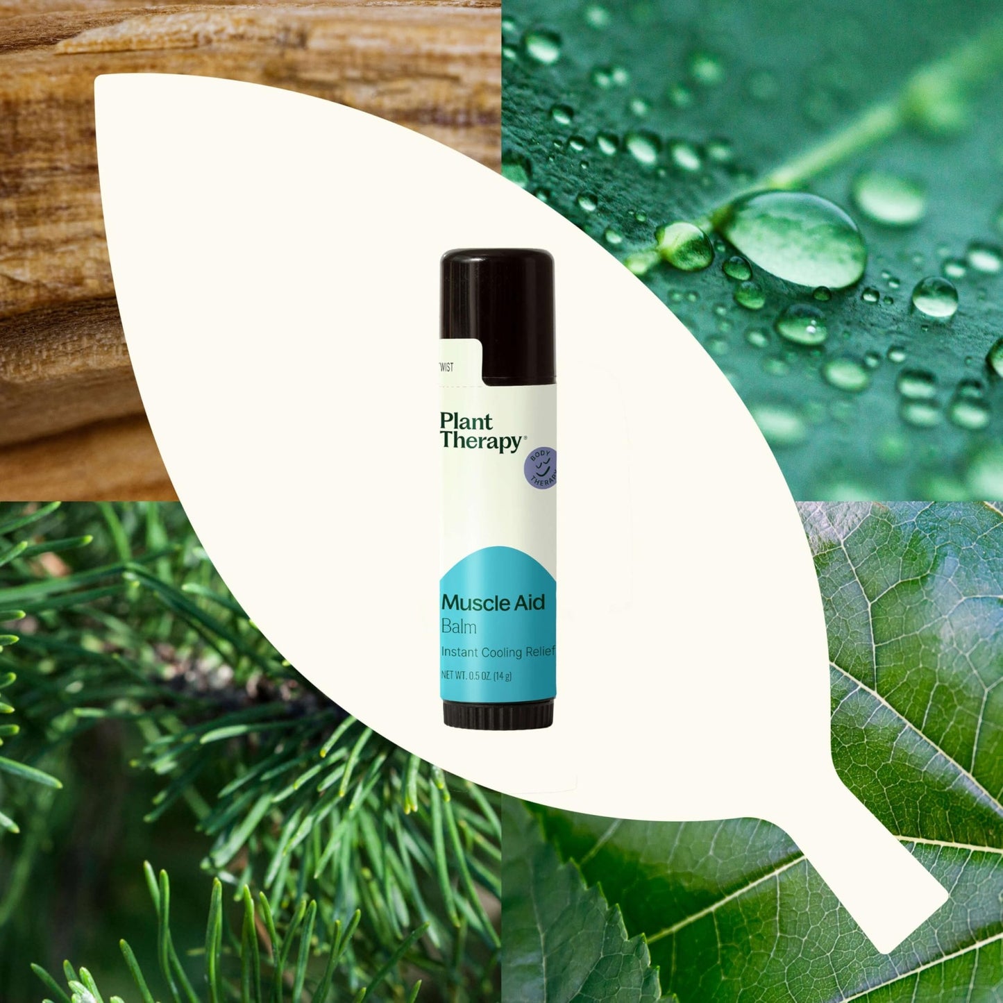 Plant Therapy Muscle Aid Balm .5 oz Soft & Creamy Balm, Cooling Relief, Natural Ingredients - dailyvitalstore