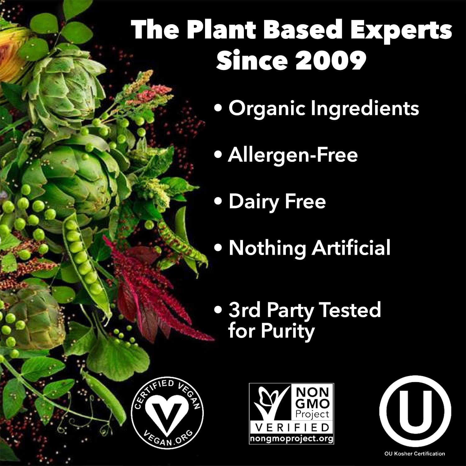 PlantFusion Complete Vegan Protein Powder - Plant Based Protein Powder With BCAAs, Digestive Enzymes and Pea Protein - Keto, Gluten Free, Soy Free, Non-Dairy, No Sugar, Non-GMO - Vanilla Bean 2 lb - dailyvitalstore