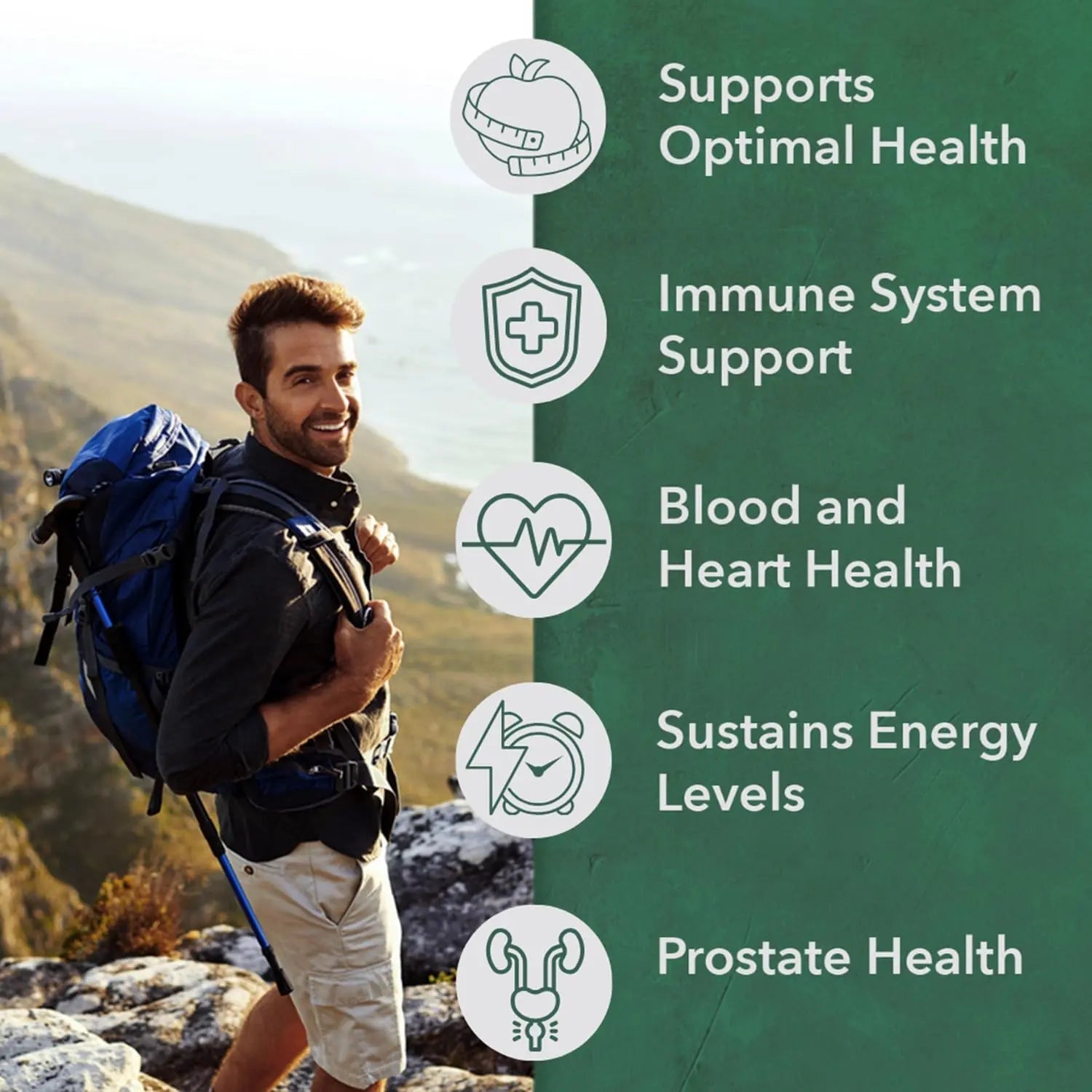 PlantFusion Organic Multivitamin for Men - One Daily Whole Food Blend Men's Multivitamin - Vegan, Non-GMO - dailyvitalstore
