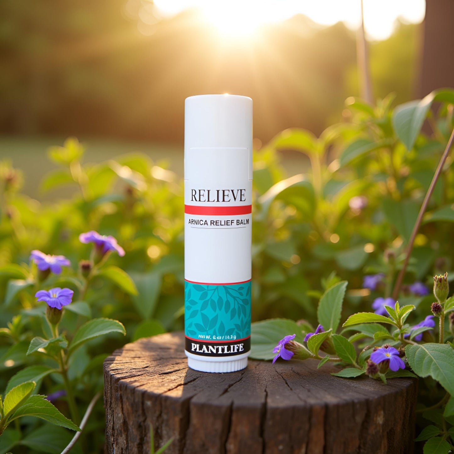 Plantlife Arnica Relieve Balm - Made with Arnica and 100% Pure Essential Oils - Relieve Products are a Homeopathic Solution for Everyday Use - Works Quickly and Effectively - Made in California - dailyvitalstore
