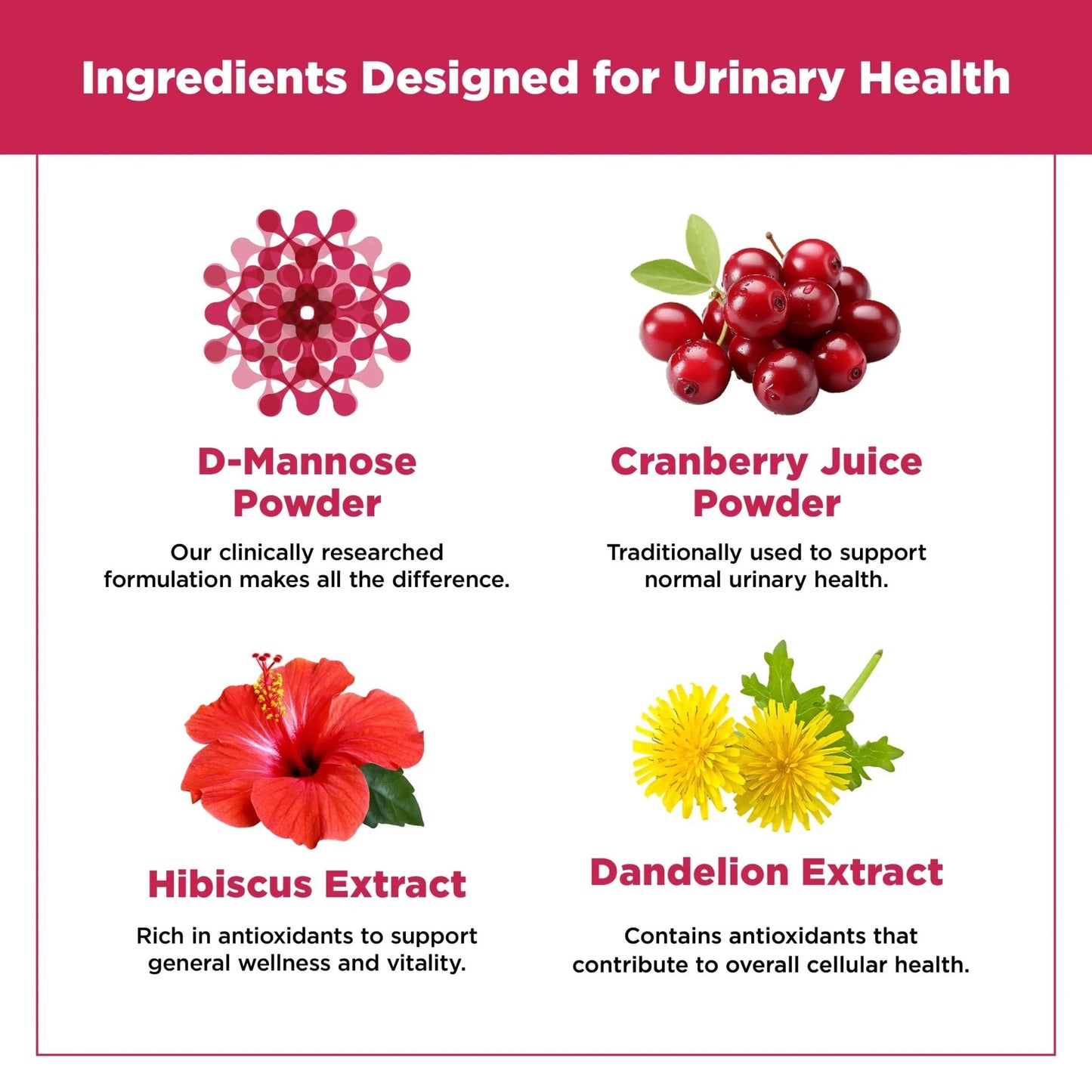 Plantvital D Mannose Capsules with Cranberry - D-mannose 1000mg Capsules - High Potency for Bladder, Kidney and Urinary Tract Support. Cranberry Powder with Hibiscus and Dandelion. 2 Months Supply - dailyvitalstore