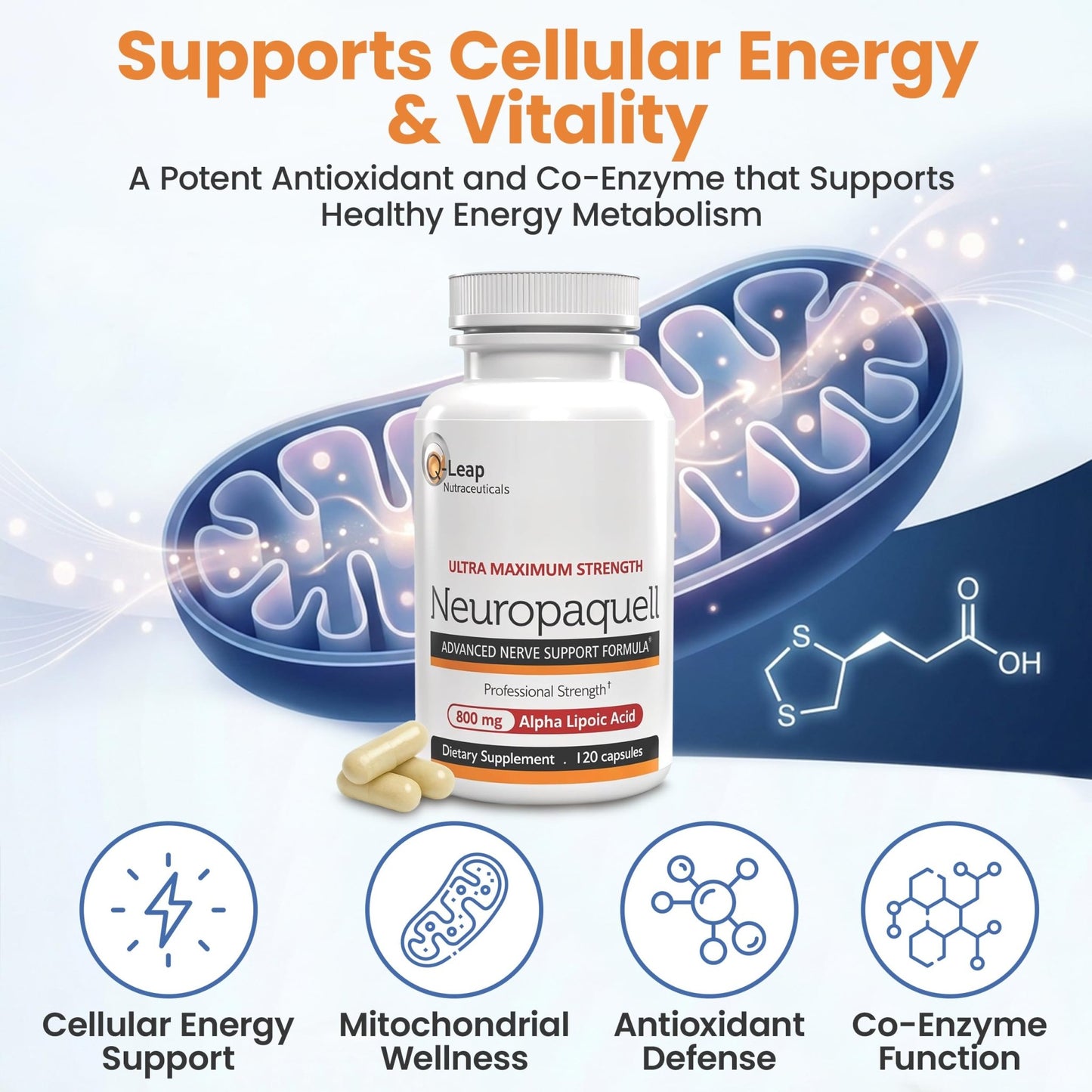Platinum Health Alpha Lipoic Acid for Neuropathy Nerve Pain Support, Supplement, B Vitamins, L Arginine, All Natural Maximum Strength Neuropaquell for Discomfort in Feet, Hand, Toes,120 Capsules,800mg - dailyvitalstore