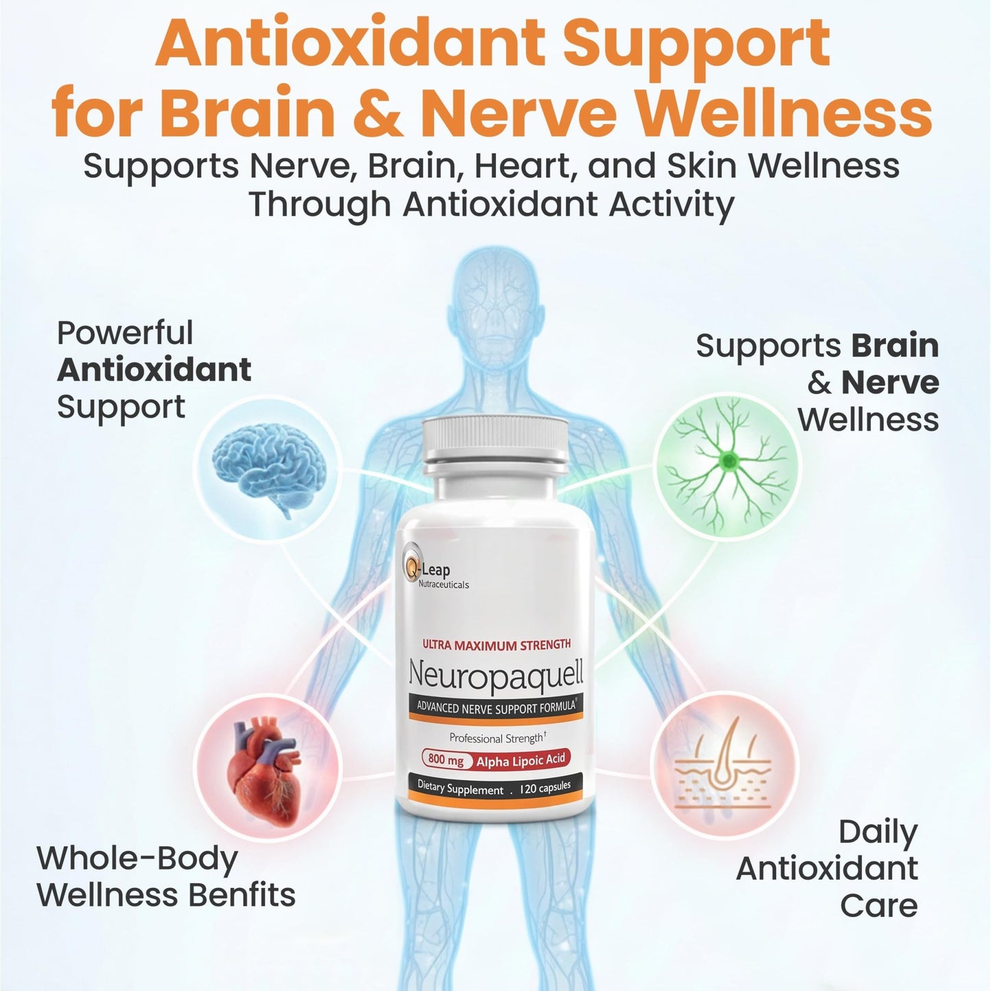 Platinum Health Alpha Lipoic Acid for Neuropathy Nerve Pain Support, Supplement, B Vitamins, L Arginine, All Natural Maximum Strength Neuropaquell for Discomfort in Feet, Hand, Toes,120 Capsules,800mg - dailyvitalstore