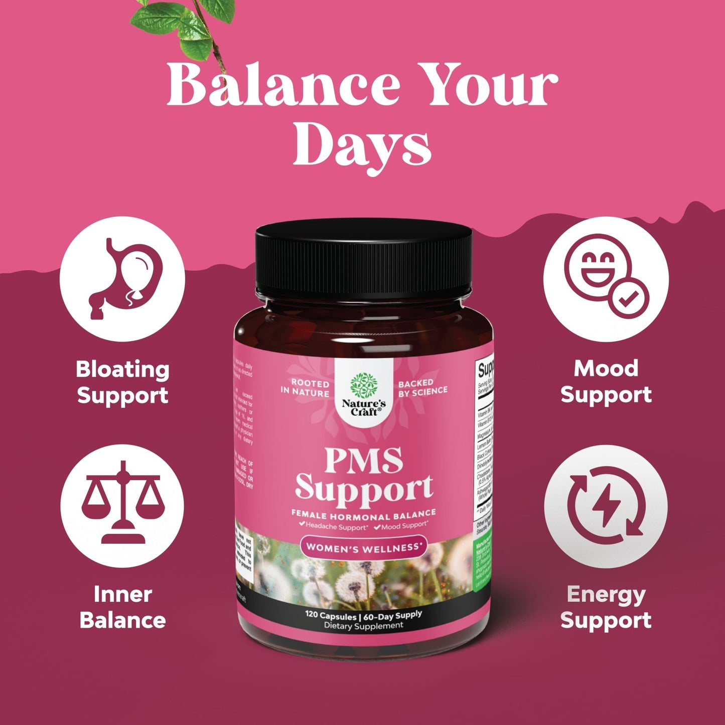 PMS Support Supplement for Women – Hormone Balance for Women & Menstrual Discomfort with DIM, Chasteberry, Black Cohosh & Ashwagandha - for Period Cramps Ease, Menopause Bloating, Mood Swing – 120 Ct - dailyvitalstore