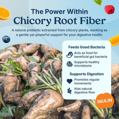 Poop Like a Champion Fiber Gummies – 5g Fiber per Serving, Non-GMO, Vegan, Digestive Support, 60 Pieces per Bottle - dailyvitalstore