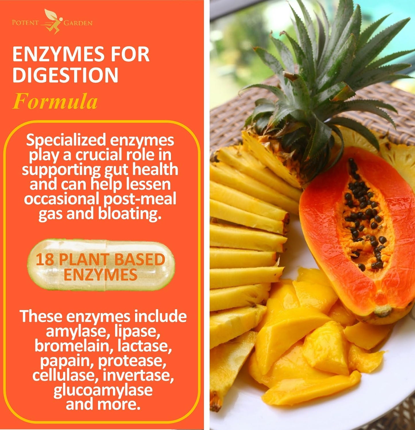 Potent Garden Digestive Enzymes -18 Plant Based Enzymes with amylase lipase bromelain Protease lactase & Other Enzymes - One Pre Meal Pill Supports Healthy - dailyvitalstore