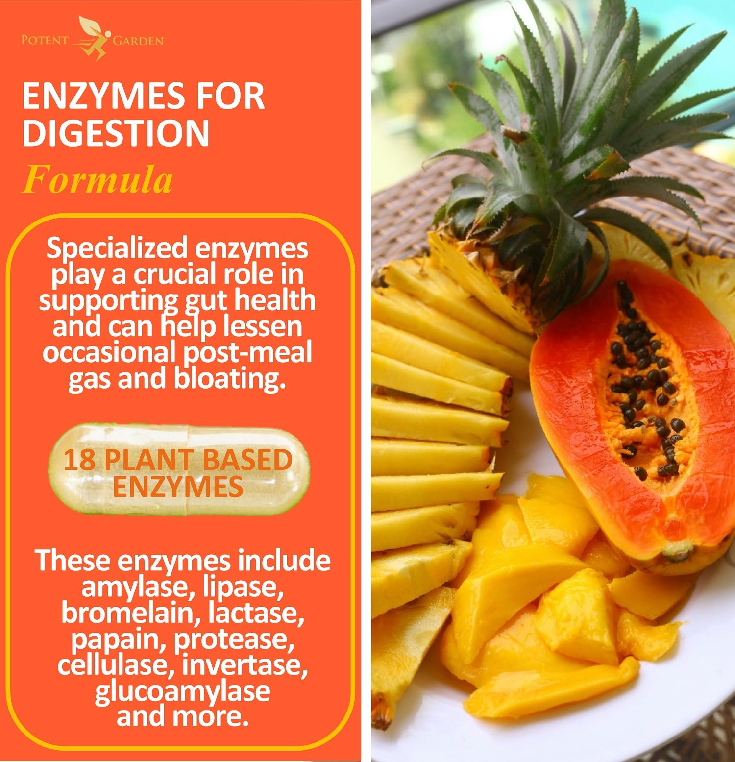 Potent Garden Digestive Enzymes -18 Plant Based Enzymes with amylase lipase bromelain Protease lactase & Other Enzymes - One Pre Meal Pill Supports Healthy - dailyvitalstore