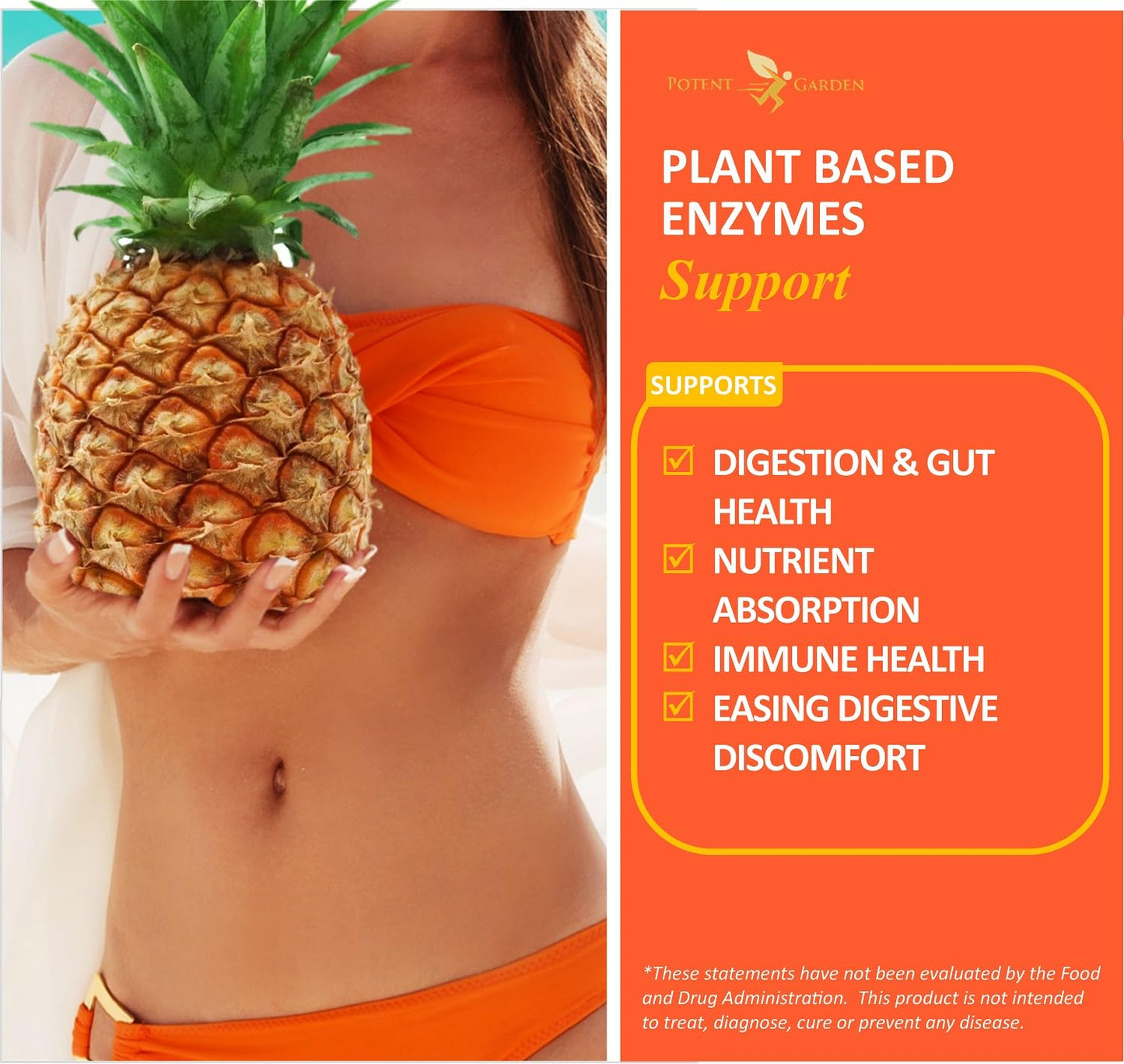 Potent Garden Digestive Enzymes -18 Plant Based Enzymes with amylase lipase bromelain Protease lactase & Other Enzymes - One Pre Meal Pill Supports Healthy - dailyvitalstore