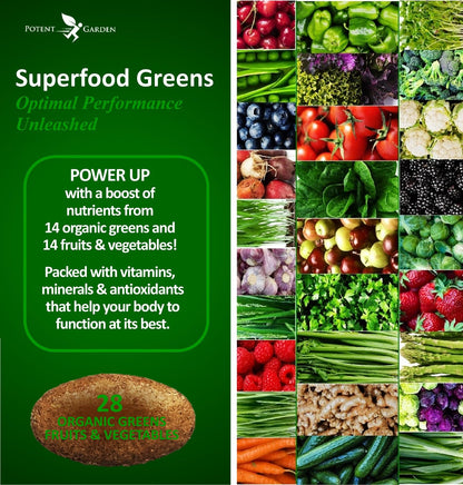 Potent Garden Organic Superfood Greens, Fruit and Veggies Supplement Rich in Vitamins & Antioxidants with Alfalfa, Beet Root & Tart Cherry to Boost Energy, Immunity & Gut Health, Greens Tablets 60 Ct - dailyvitalstore
