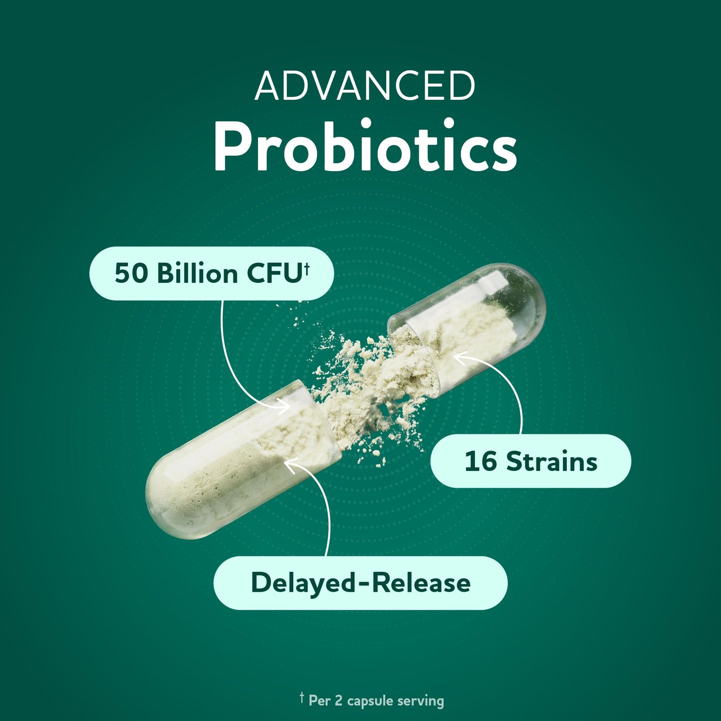 Prebiotics and Probiotics | 50 Billion CFU, 16 Probiotic Strains & Inulin Prebiotic Fiber | Delayed Release Capsules | Gut Health Support | Prebiotics and Probiotics for Women & Men | Non-GMO | 60 Ct - dailyvitalstore