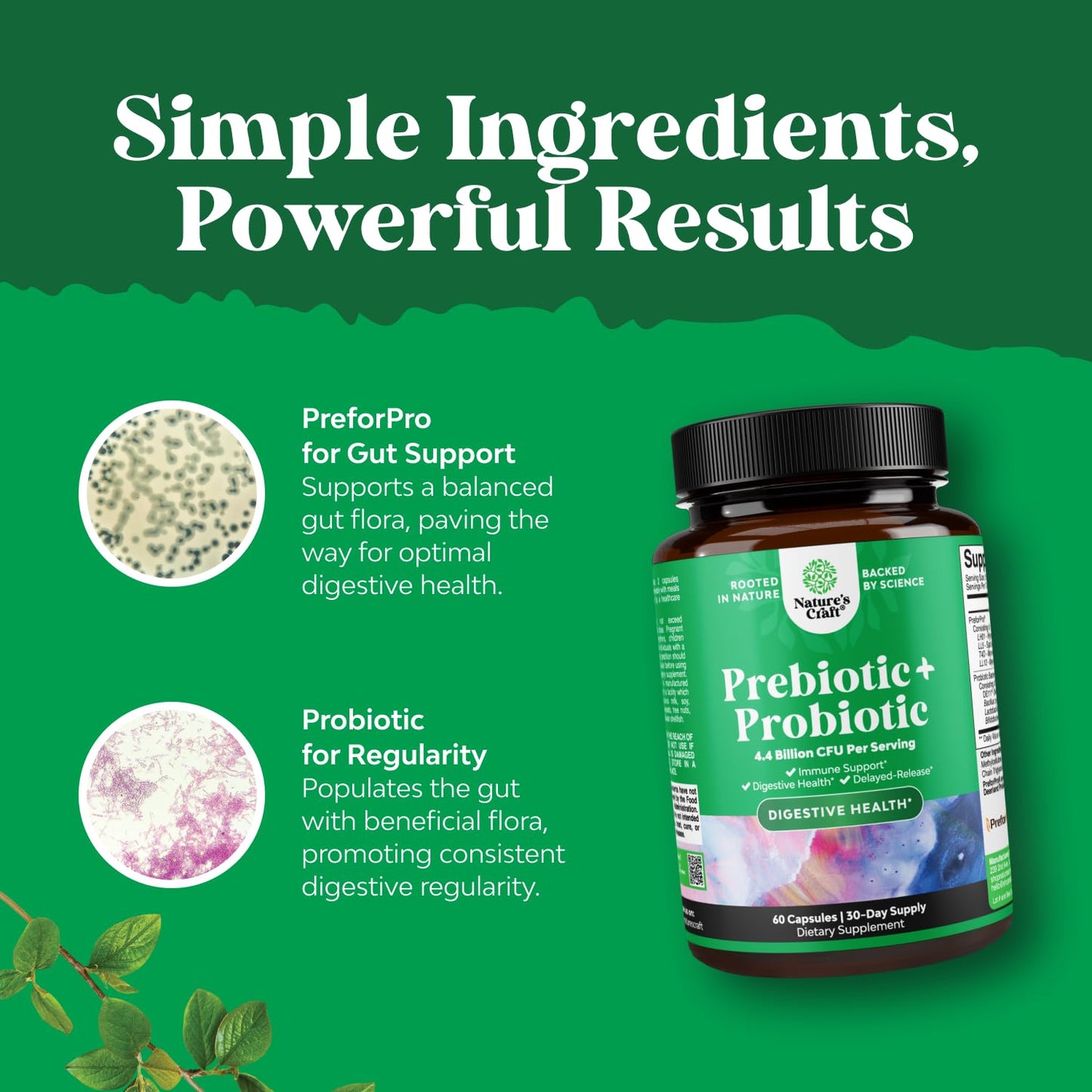Prebiotics and Probiotics Gut Health Supplement-Super Potent Digestive Health Acidophilus Probiotic Capsules with Men & Womens Probiotics & Prebiotics - dailyvitalstore