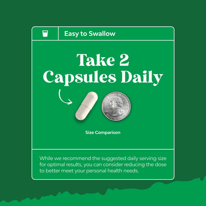 Prebiotics and Probiotics Gut Health Supplement-Super Potent Digestive Health Acidophilus Probiotic Capsules with Men & Womens Probiotics & Prebiotics - dailyvitalstore