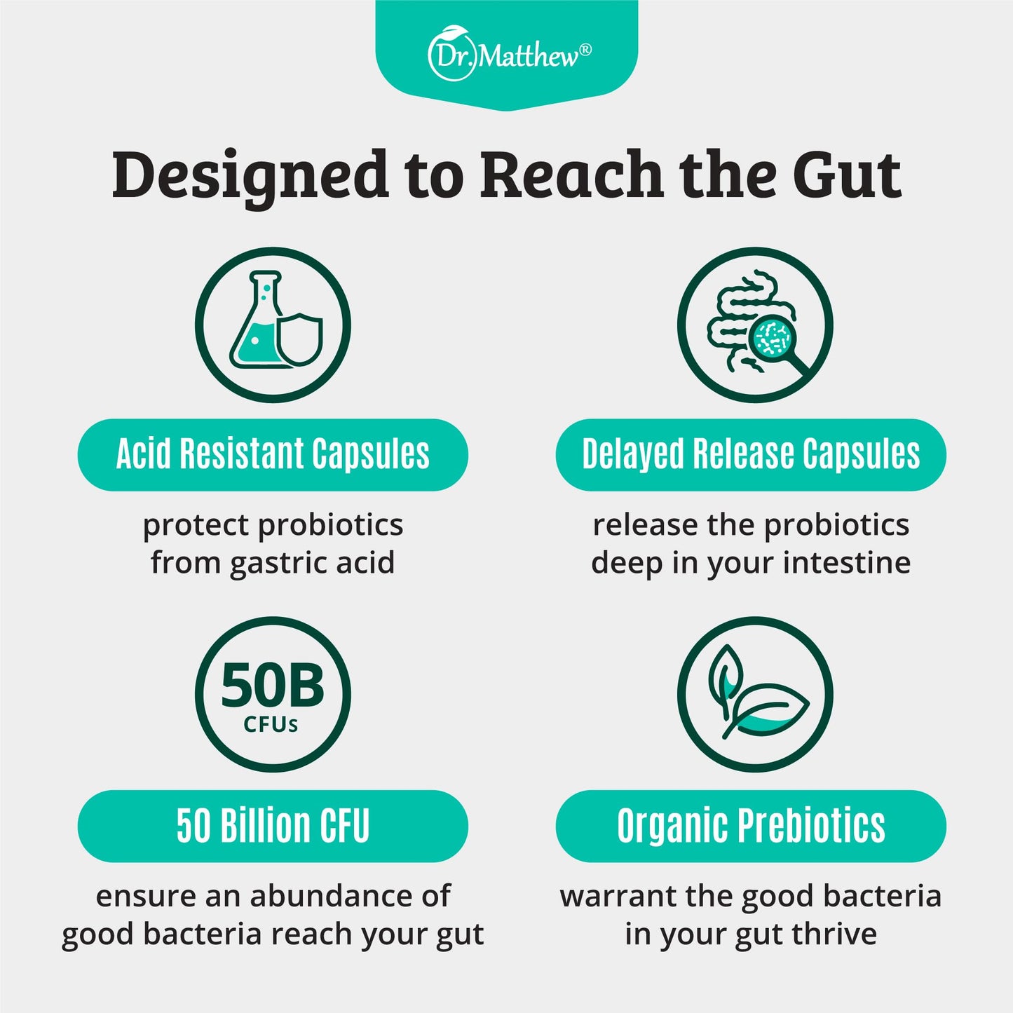 Prebiotics and Probiotics: Lactobacillus Gasseri, Lactobacillus Rhamnosus, Plantarum, Casei, Bifidobacterium longum, lactis, infantis. Probiotic Prebiotic, - dailyvitalstore