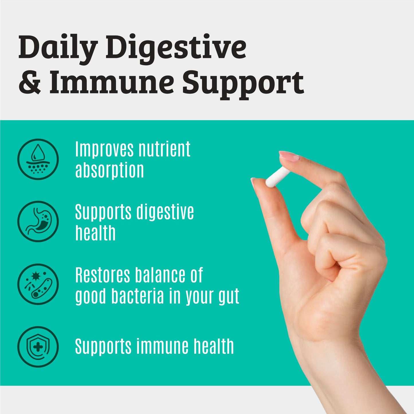 Prebiotics and Probiotics: Lactobacillus Gasseri, Lactobacillus Rhamnosus, Plantarum, Casei, Bifidobacterium longum, lactis, infantis. Probiotic Prebiotic, - dailyvitalstore