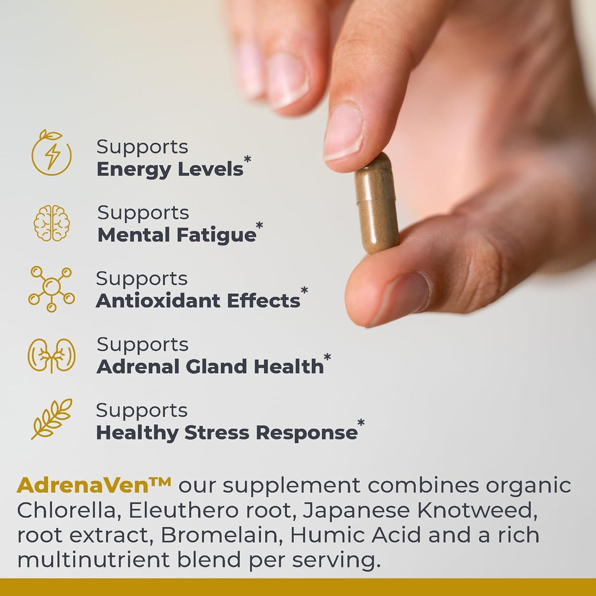 Premier Research Labs 30 Servings-AdrenaVen - Adrenal Health Supplement, Supports Adrenal Gland Health and Stress Response - Organic Adrenal Health - 60 Plant-Source Capsules - dailyvitalstore