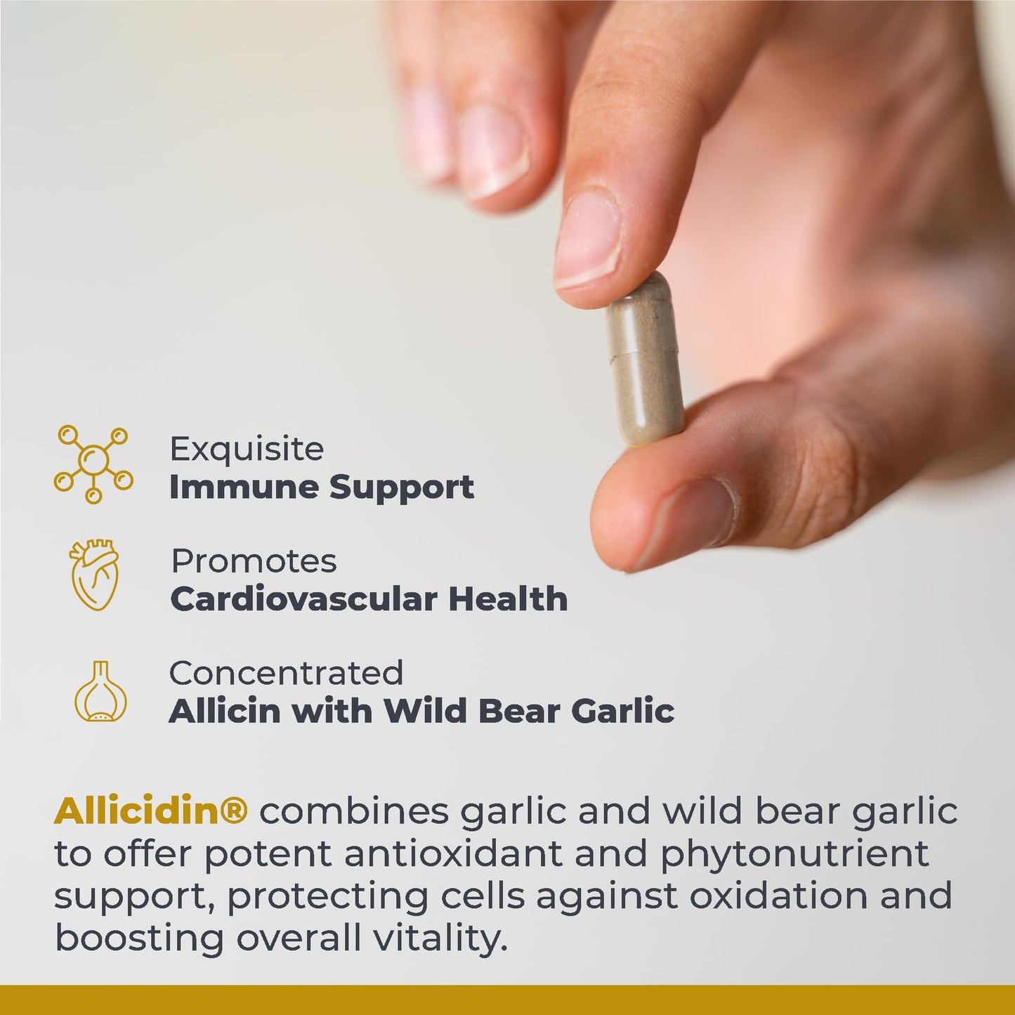Premier Research Labs Allicidin - Garlic Allicin Supplement, Garlic Supplements, Garlic Pills, Allicin Extract, Garlic Extract, Odorless Garlic Capsules, Immune Support - 60 Vegetarian Capsules - dailyvitalstore