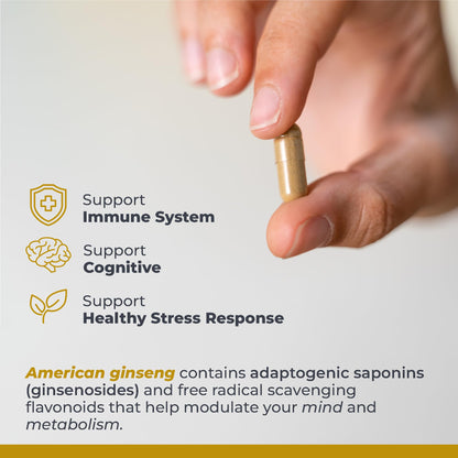 Premier Research Labs American Ginseng Supplement - American Ginseng Capsules, Herbal Ginseng Root Pills, North American Ginseng Herb Extract, Calming Energy Supplement - 60 Plant-Based Capsules - dailyvitalstore