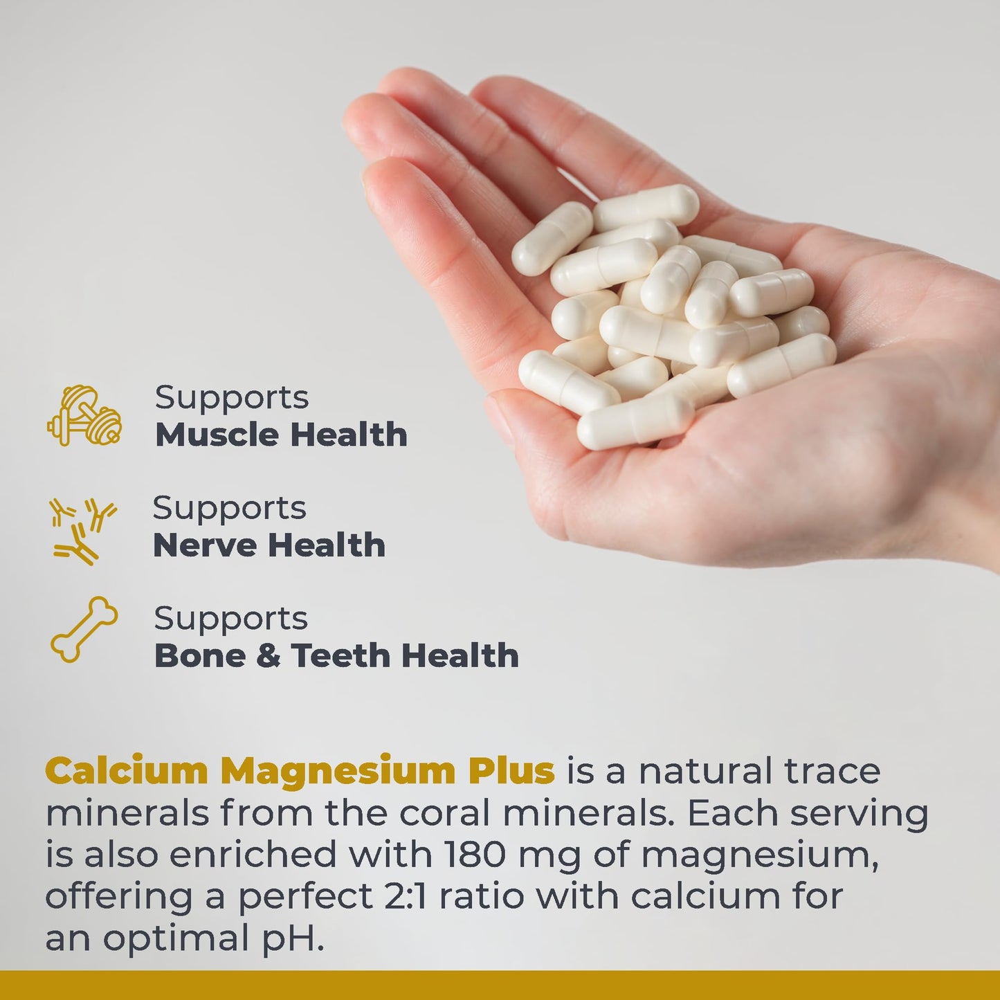 Premier Research Labs Calcium Magnesium Plus - Calcium Magnesium Supplement, Calcium Supplement for Bone Health, with Mushroom Complex - Reishi & Lions Mane - 90 Vegetarian Capsules - dailyvitalstore