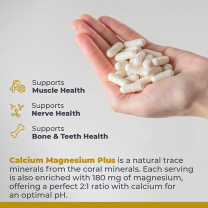 Premier Research Labs Calcium Magnesium Plus - Calcium Magnesium Supplement, Calcium Supplement for Bone Health, with Mushroom Complex - Reishi & Lions Mane - 90 Vegetarian Capsules - dailyvitalstore
