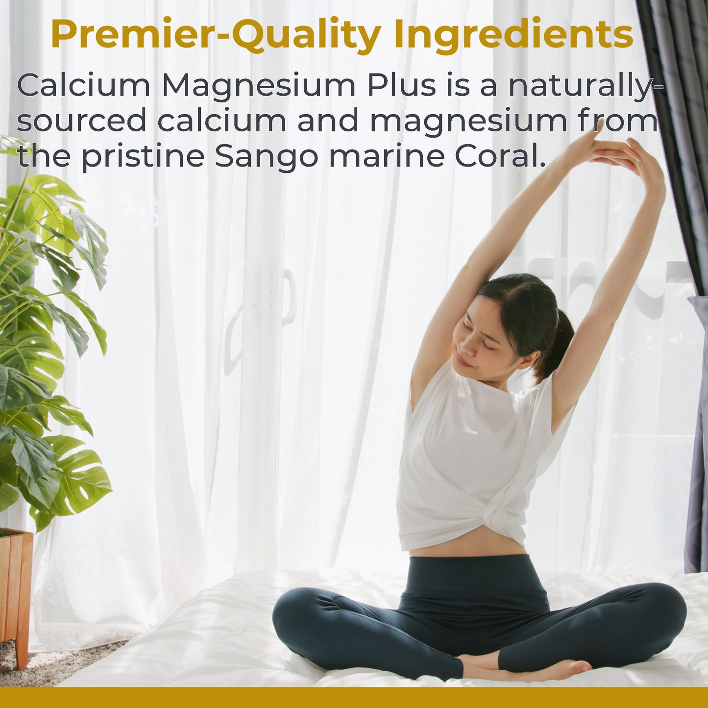 Premier Research Labs Calcium Magnesium Plus - Calcium Magnesium Supplement, Calcium Supplement for Bone Health, with Mushroom Complex - Reishi & Lions Mane - 90 Vegetarian Capsules - dailyvitalstore