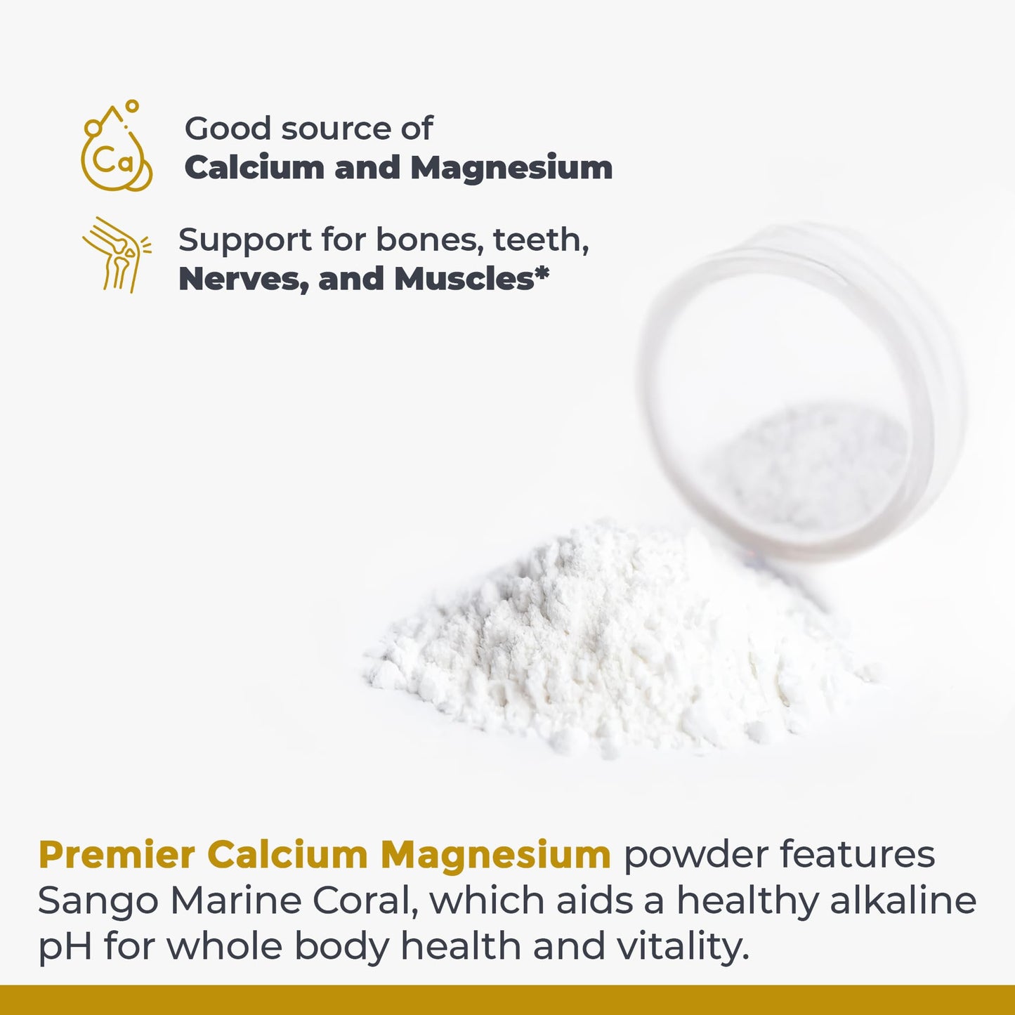 Premier Research Labs Calcium Magnesium Powder - Natural Coral Calcium Powder for Bone Health, Mix with Water for Alkaline PH Balance - 8 oz - dailyvitalstore